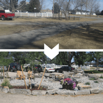 lawn care before and after