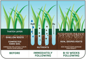 aeration graphic