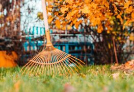 Power Raking